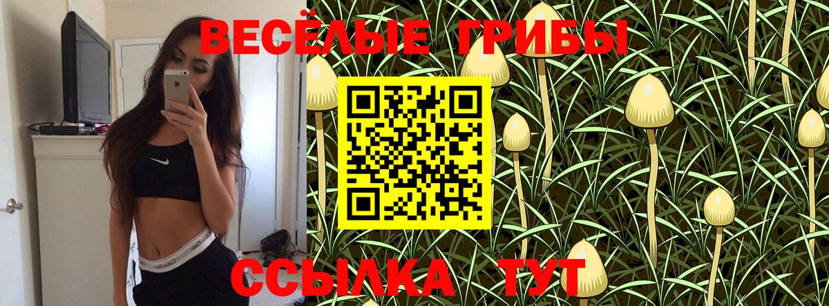 Галлюциногенные грибы прущие грибы Прохладный